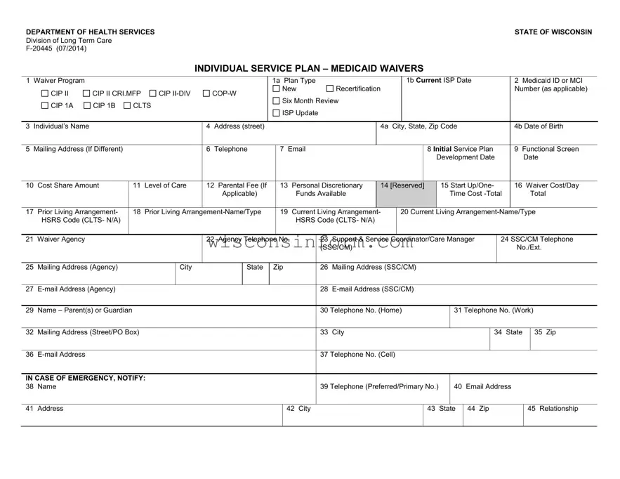 Free Individual Service Plan Wisconsin Form in PDF